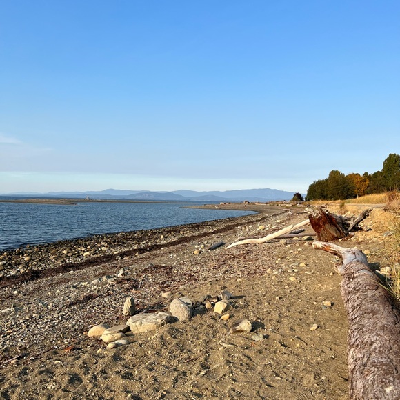 Shop with Chantelle 🌸🦋 - Picture 7 of 7